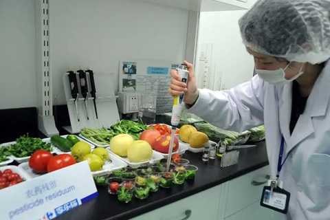 在食品安全检测中，为什么“前处理”环节对*终结果影响很大？